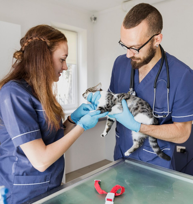 Veterinary-Clinics