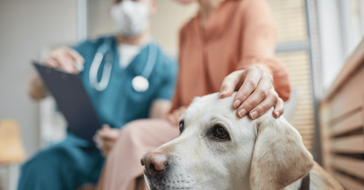 Client-Experience-Reputation-Damage