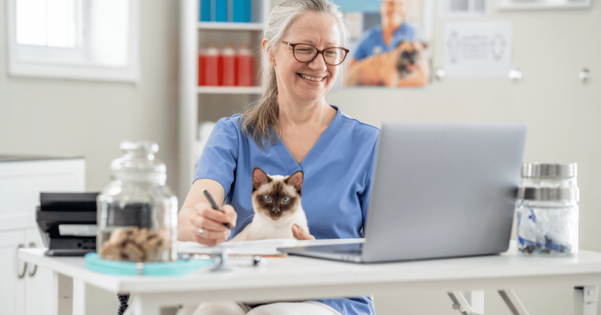 veterinary-workflow