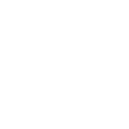 outdated-software
