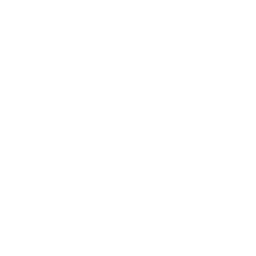 software-problem